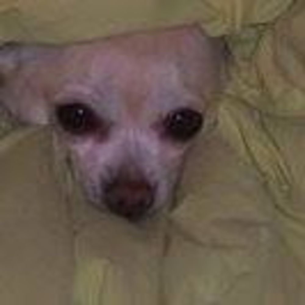 Meet your Posher, Naomi